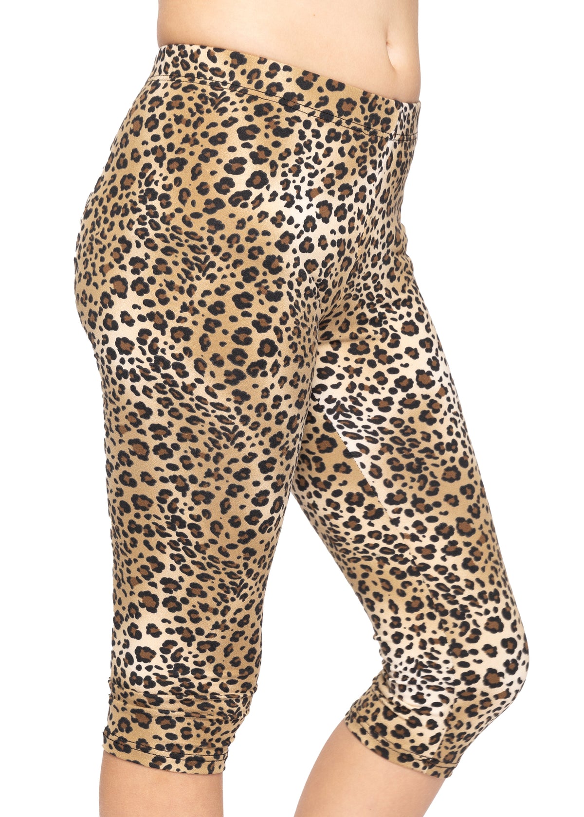 #color_brown-cheetah